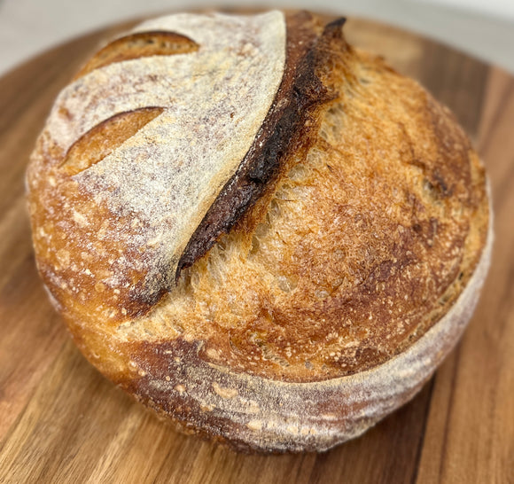 Whole Wheat Sourdough Loaf